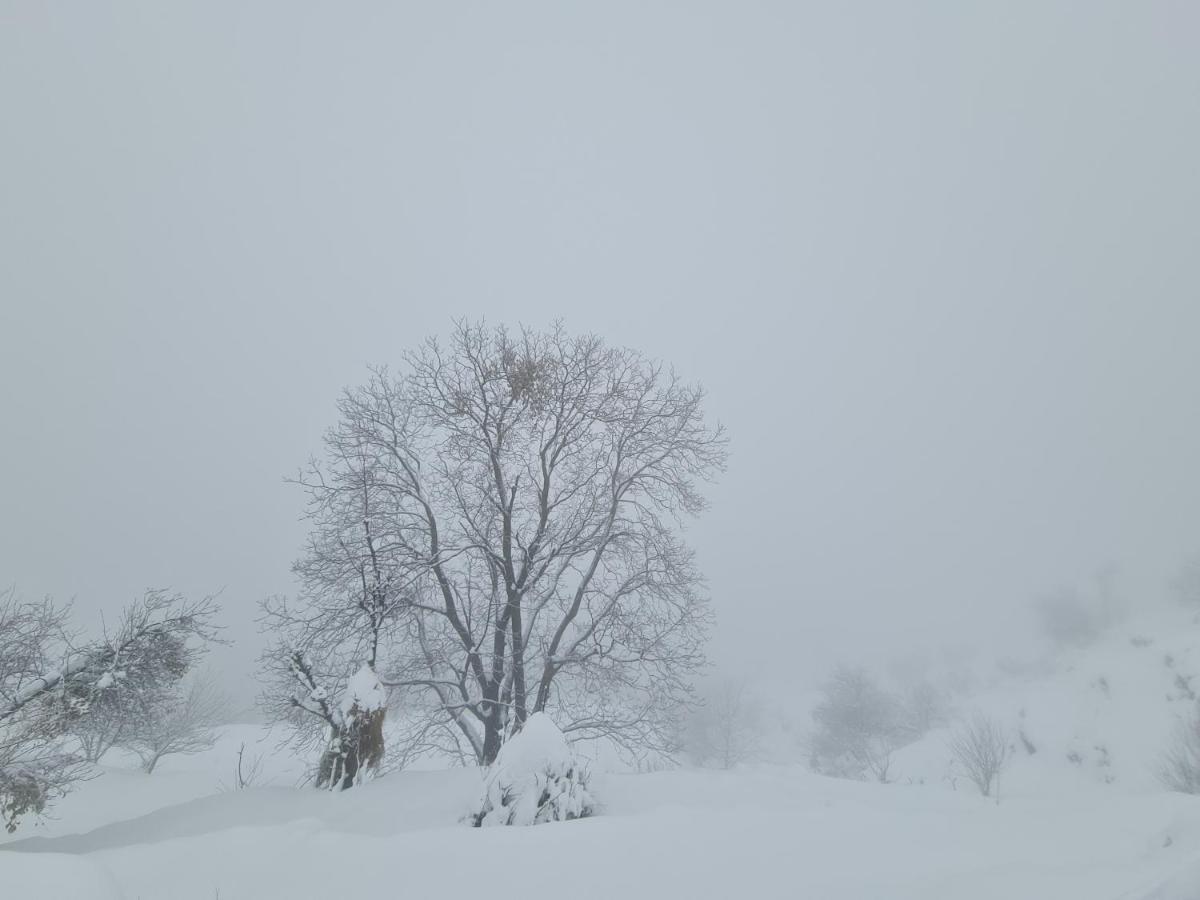The Kanatal Arbour Extérieur photo